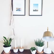 Plant Decor Indoor Plants Console Table Style Plant Decor Indoor Console Table Styling Plant Decor