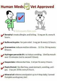 Human Meds For Dogs Chart Meds For Dogs Dog Care Pet Health