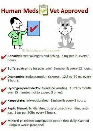 Human Meds For Dogs Chart Meds For Dogs Dog Care Pet Health