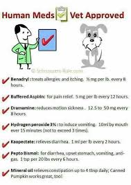 human meds for dogs chart meds for dogs dog care pet health