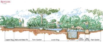 Rain Garden Cross Section Rain Garden Rutgers Gardens Rain Garden Rain Garden Design Rain Water Collection