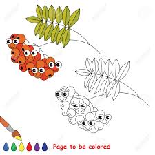 But that's only the start. Red Ash Berry To Be Colored Coloring Book To Educate Kids Learn Colors Visual Educational Game Easy Kid Gaming And Primary Education Simple Level Of Difficulty Coloring Pages Royalty Free Cliparts Vectors