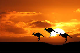 Káº¿t quáº£ hÃ¬nh áº£nh cho Australia ná»i tiáº¿ng lÃ&nbsp; xá»© sá» cá»§a nhá»¯ng chÃº kangaroo.