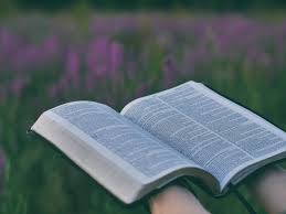 Many myths are folded about flowers and medicinal plants. 5 Things You Never Noticed About Romans 8 28 Out Upon The Waters