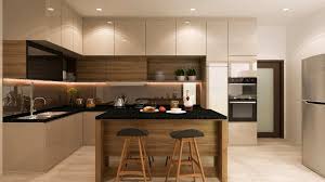 fabulous modern kitchen cabinet design