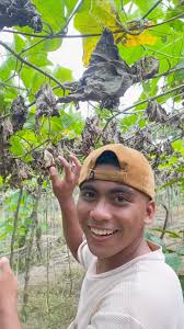 GAGAMBA CHECK🤙#PapiTer #comedy #comedyreels #fbreelsvideo #fbreelsviral  #virals