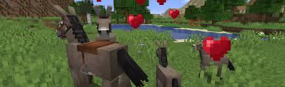 Overall, eight different textures have been used for the axolotl, however only five are. Minecraft Animal Breeding Guide How To Breed All Animals 2021 Pro Game Guides