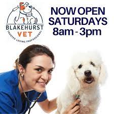 We did not find results for: What Happens To Dogs After They Are Put Down By The Vet Quora