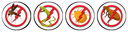 It might as well breed a colony of pests in the fibres and underlay. Professional Pest Control Central Coast Pakages Details