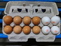 Sep 13, 2017 · if you throw your eggs out once the date on the carton has passed, you may be wasting perfectly good eggs. The Grocery Store I Shop At Repacks The Unbroken Eggs Sells Them At A Reduced Price Mildlyinteresting