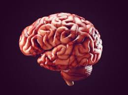 Amnesia Causes Symptoms And Treatments