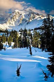North Cascades Winter By Inge Johnsson In 2021 North Cascades North Cascades National Park Cascades National Park