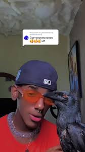 Responder a @tocabocamari2 #rasecleiniar #xyzbca #viral #parati  #chicoculebra