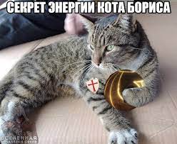 sekret energii kota borisa pikabu