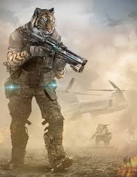 Tiger Desert Troop Alejandro Gonzalez Agudelo Furry Drawing Furry Art Anthro Furry Soldier in the desert stock image. tiger desert troop alejandro gonzalez