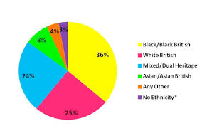 figure one pie chart showing participant ethnicity of young