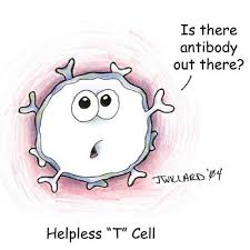 The Helpless T Cell D Biology Humor Biology Jokes Funny Science Jokes