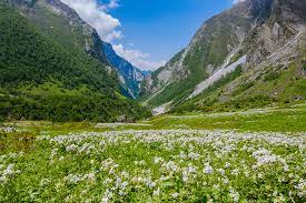 Maybe you would like to learn more about one of these? Valley Of Flowers From Delhi Tour Of Valley Of Flowers From Delhi