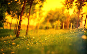 Background Wallpapers Editing Hd Nature Background For Picsart 2560x1600 Wallpaper Teahub Io You can also upload and share your favorite nature background hd.