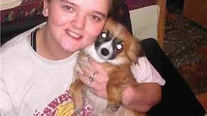 Mechanical failure to blame in Truxton deadly crash that killed 7 people