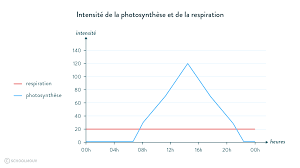 ✑ en savoir + sur comment bien les représentations graphiques permettent de placer des données les unes par rapport aux autres. Photosynthese Et Respiration Exercice Svt Schoolmouv