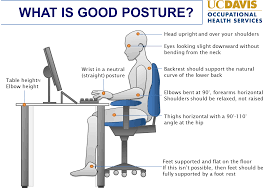 ergonomics in the workplace good posture work space sitting posture