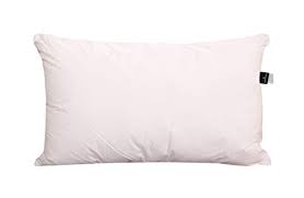 I morbidi cuscini in piuma d'oca, morbidi e nuvolosi, sono un trattamento lussuoso per chi ama un cuscino modellabile e leggero che si adatta a qualsiasi posizione di riposo. 44 Migliori Piumino D Oca Nel 2021 Recensioni Opinioni Prezzi