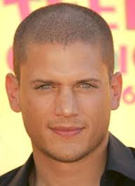 Classify Wentworth Miller Dominic Purcell Wentworth Miller Wentworth Miller Prison Break Michael Scofield