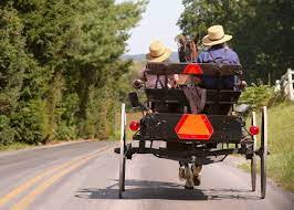 These cast members go through a lot to discover what life is like outside of their comfort zones. How Managing Your Money Like The Amish Could Make You A Millionaire