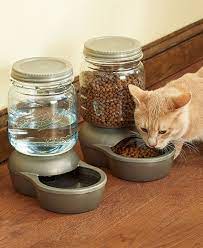 Mason Jar Pet Feeder Waterer System Dispenser Dog Cat Food Water Storage Diy Cat Food Cat Food Storage Pet Mat