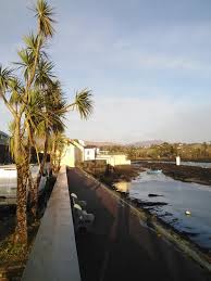 Palm Trees Ireland Photos Free Royalty Free Stock Photos From Dreamstime