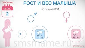 сколько должен спать ребенок в 2 месяца на ив Skolko Sedaet Rebenok V 2 Nedeli Budu Mamoj