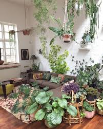 Home Inspo Plant Decor Indoor Room With Plants House Plants Indoor