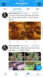 洋垃圾曝光十年，百锤不倒？抱歉，温和派要重拳出击了- 知乎