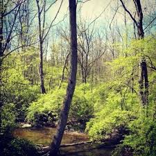 Taken At Sharon Woods Metro Park Westerville Ohio Nature Favorite Places Scenery