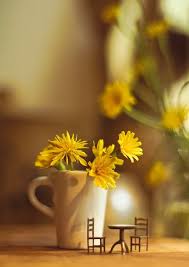 Teeny Things Always Make Me Smile Miniatures Miniature Books Miniture Things