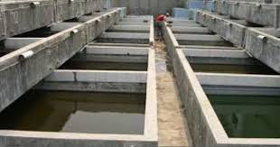 Sebagaimana diketahui, air kolam kerap terancam dengan bahaya ammonia dari kotoran ikan serta nitrit dari untuk mensiasati masalah filter air kolam, tanaman pun memegang peran penting. Konstruksi Kolam Ikan Beton Jenis Tanaman Hidroponik