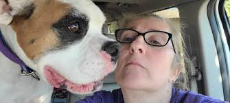 German Shepherd missing