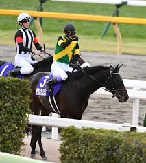 巨人からfa人的補償で移籍した選手と加入選手 95川辺 日本ハム河野 01平松 中日 前田 05小田 中日 野口 江藤 西武 豊田 06工藤 横浜 門倉 11藤井 横浜 村. ã‚¸ãƒ£ãƒ'ãƒ³ï½ƒ ãƒ¯ãƒ¼ãƒ«ãƒ‰ãƒ—ãƒ¬ãƒŸã‚¢ä¹…ã€…ã®å®Ÿæˆ¦ã§ï¼–ç€ æ­¦è±Š æ€ã„é€šã‚Šã®ç«¶é¦¬ã¯ã§ããŸ ã‚µãƒ³ã‚¹ãƒzbat ç«¶é¦¬