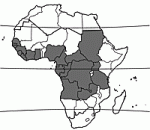 Image result for Klainedoxa