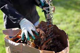 We did not find results for: 6 Compost Pile Mistakes You Re Making Composting Tips