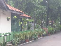 Rumah dijual murah ini merupakan salah satu proyek untuk bisa memenuhi kebutuhan masyarakat akan hunian yang layak untuk di jadikan tempat tinggal bersama dengan keluarga. Rumah Dijual Jual Rumah Murah Di Jakarta Selatan Bu