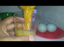 Bener bener siang bolong ayam ayam kampus. Mengejutkan Lihat Apa Yang Terjadi Jika Minum Susu Beruang Di Campur Telur Bebek Youtube