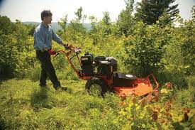 5 Steps For Clearing Overgrown Land Backyard Makeover Overgrown Yard Backyard