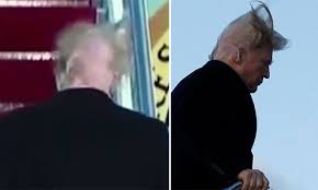 Ông Trump bị gió thổi lộ đầu hói - Ngôi sao