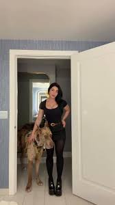 PERKY K9 🐾🐶 @PERKYK9 - Twitter Profile | Sotwe