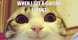 12 Guitar Memes All Guitarists Can Relate To Musician Tuts