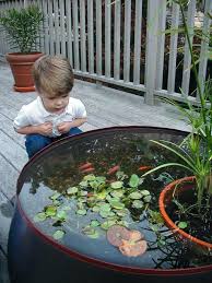 Stunning 20 Awesome Backyard Aquarium Ideas Will Blow Your Mind Https Kidmagz Com 20 Awesome Water Features In The Garden Ponds Backyard Indoor Water Garden