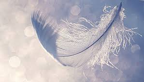 Image result for images spirit guides