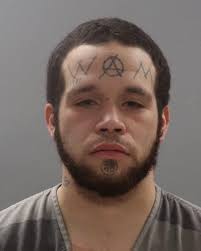 Patrick, Takeshia Cherie Mugshot